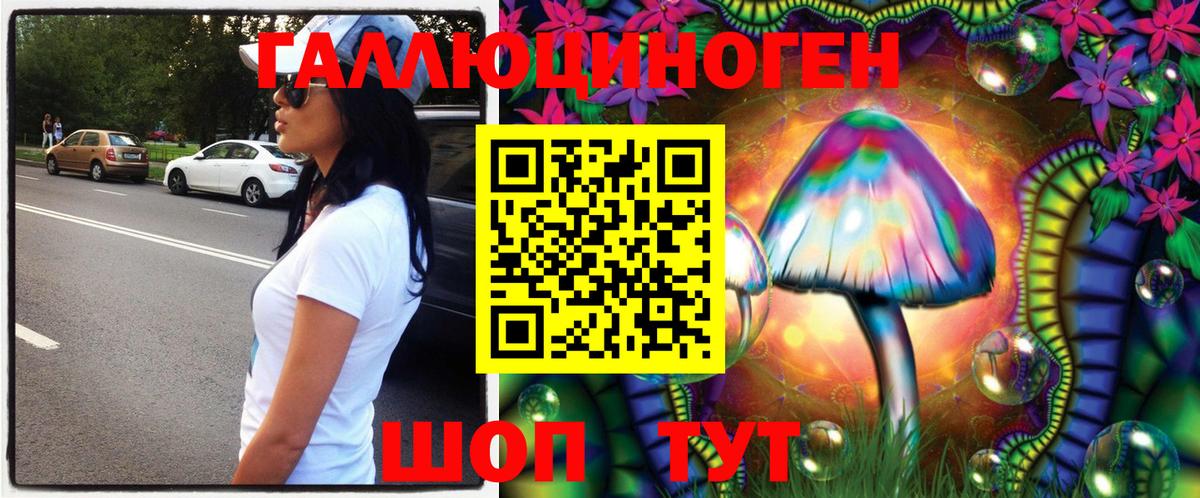 где продают   Галлюциногенные грибы мухоморы  Вход с VPN  Ейск 
